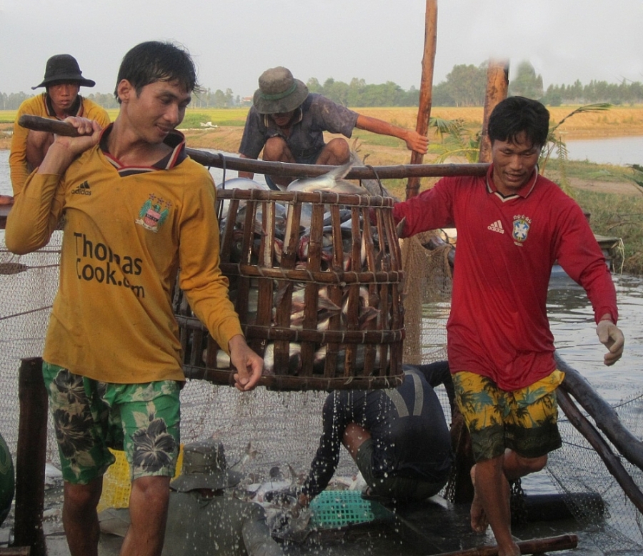 undefined 1554-p16-17-sptt