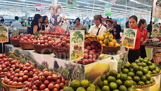 tuan le dac san tay bac va cac tinh mien nui phia bac tai big c