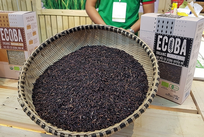 Vietnam Foodexpo 2019: Diễn đàn giao thương, đầu tư cho ngành công nghiệp thực phẩm vietnam foodexpo 2019 dien dan giao thuong dau tu cho nganh cong nghiep thuc pham