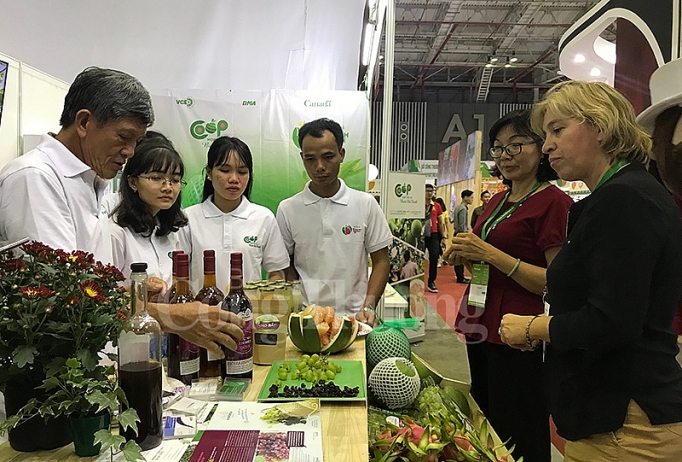 Dự án VCED hỗ trợ hợp tác xã Việt Nam phát triển thị trường qua Vietnam Foodexpo 2019 du an vced ho tro hop tac xa viet nam phat trien thi truong qua vietnam foodexpo 2019