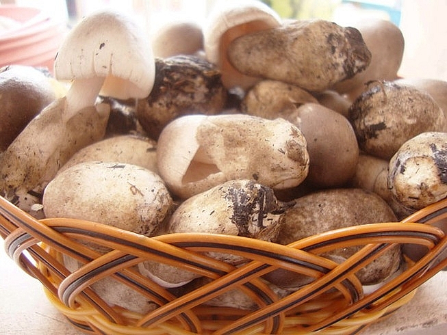 undefined 5449-gia-thuc-pham-hom-nay-1