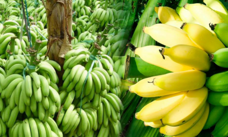 undefined 1119-gia-chuoi