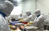 An Giang: Xuất khẩu các mặt hàng chủ lực giảm