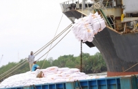 Xuất khẩu gạo năm 2020: Chú trọng vào các giống lúa chất lượng cao