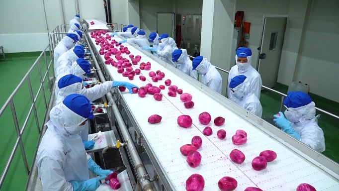 Đặt mục tiêu 5 tỷ USD trong 2020, ngành rau quả có kỳ vọng cao? dat muc tieu 5 ty usd trong 2020 nganh rau qua co ky vong cao