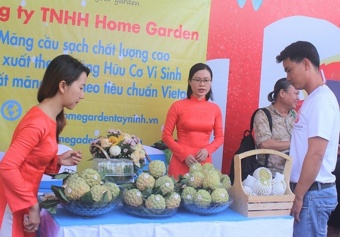 nong san thuc pham an toan tinh tay ninh do bo tp ho chi minh