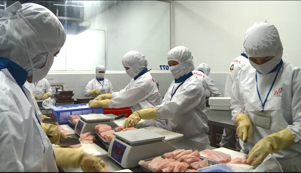 Lạc quan xuất khẩu thủy sản cuối năm và đầu 2021 Lạc quan xuất khẩu thủy sản cuối năm và đầu 2021