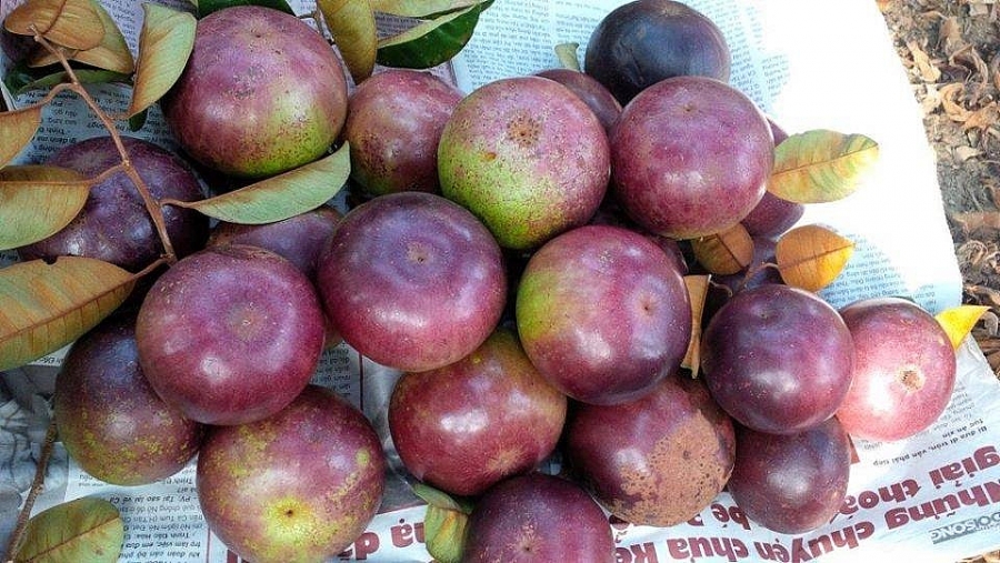 2413-gia-thuc-pham-hom-nay-2