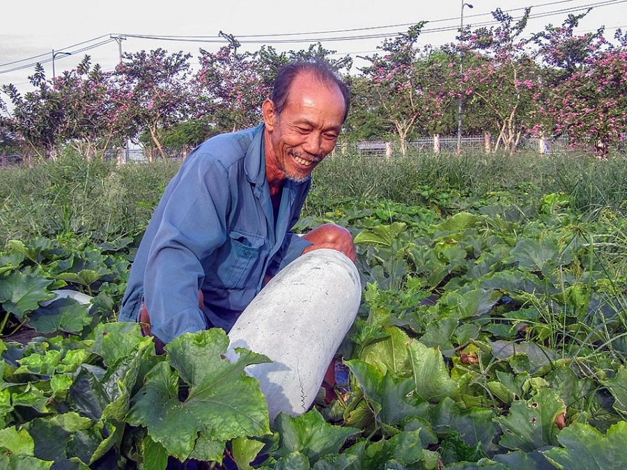 1522-gia-thuc-pham-hom-nay