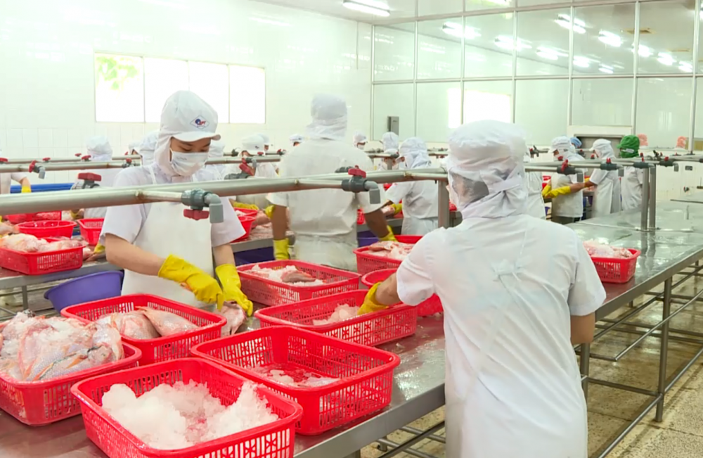 undefined 5044-hiep-dinh-thuong-mai-viet-nam-anh