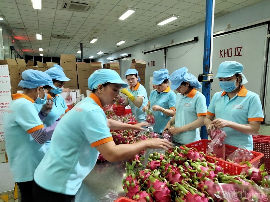 3635-buoc-di-chien-luoc-de-nong-san-tan-dung-rcep