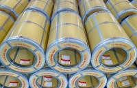 Hoa Sen: Tạo đột phá với dòng sản phẩm tôn siêu bền Hoa Sen Gold