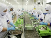 Xuất khẩu trong quý I/2017 của Cà Mau giảm nhẹ