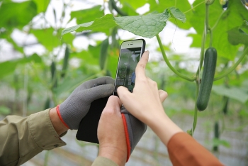 Chuyển đổi số giúp nông sản Việt thoát cảnh “giải cứu”