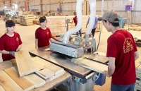 Giải pháp nào cho ngành gỗ Việt tăng tốc và bứt phá sau đại dịch
