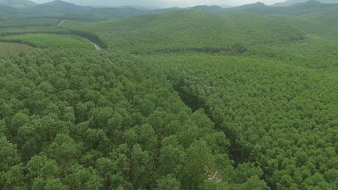 vrg quyet liet trien khai phat trien ben vung de gia tang canh tranh