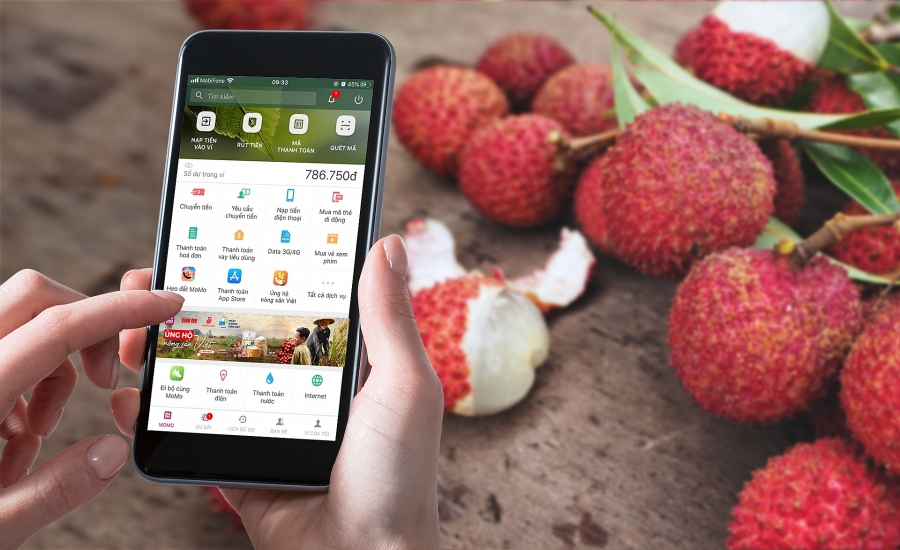 Độc đáo ngồi nhà ủng hộ nông sản Việt trên Ví điện tử doc dao ngoi nha ung ho nong san viet tren vi dien tu