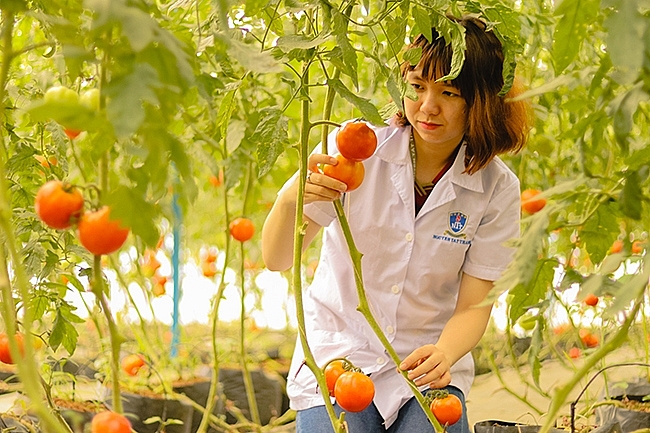 Tự tin chọn trường đạt kiểm định để vững khởi nghiệp, sáng tương lai Tự tin chọn trường đạt kiểm định để vững khởi nghiệp, sáng tương lai