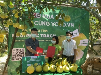 “Đánh thức” thương mại điện tử nông thôn bằng hạ tầng logistics