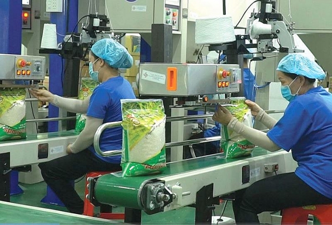 lan dau tien xuat khau hang hoa dong thap dat 12 ty usd