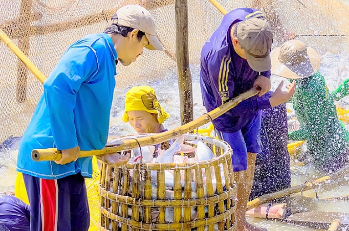 lan dau tien xuat khau hang hoa dong thap dat 12 ty usd