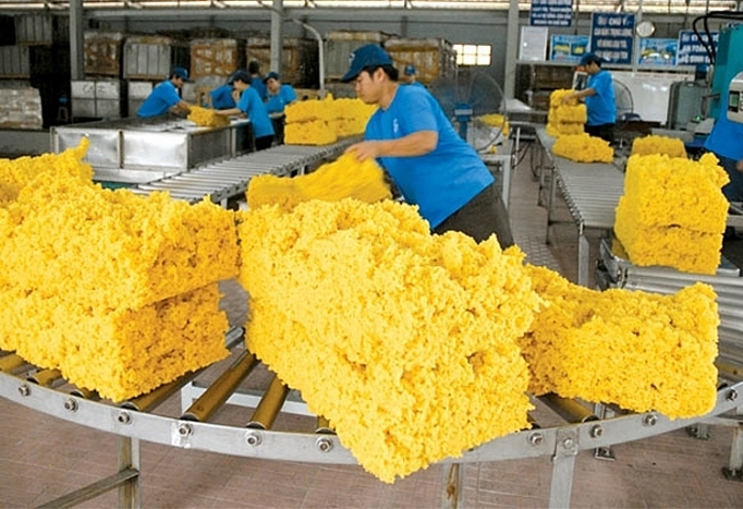 Ngành cao su cần tăng giá trị, giảm xuất khẩu thô nganh cao su giam xuat tho tang gia tri trong xuat khau