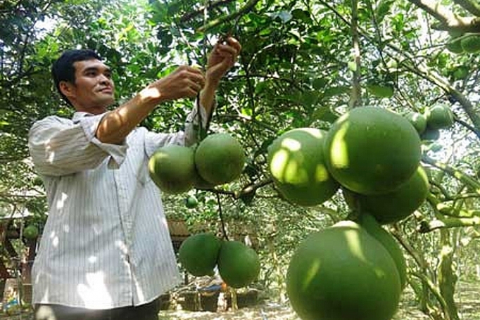hang nghin nguoi tham du khai mac le hoi huong buoi bach dang lan 2