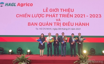 Gia Lai kêu gọi THACO và HAGL đầu tư vào nông nghiệp công nghệ cao, công nghiệp chế biến