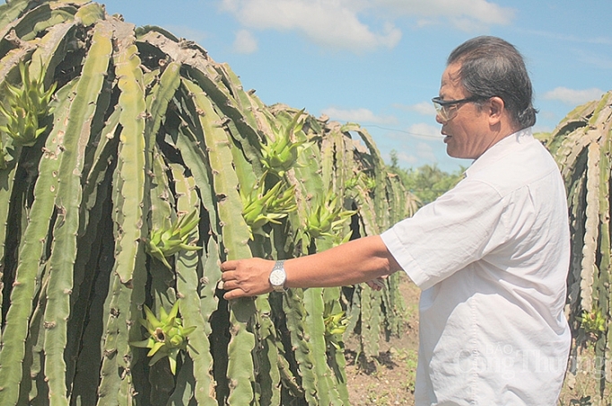 Đồng Tháp xúc tiến thành lập Trung tâm phân phối nông sản dong thap xuc tien thanh lap mo hinh trung tam phan phoi nong san