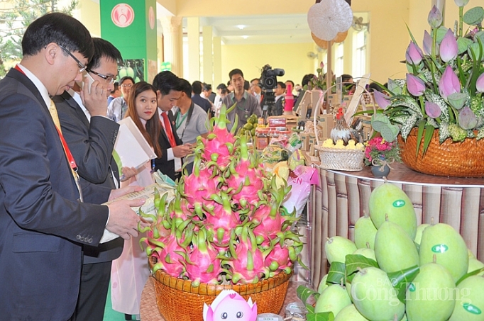 Đồng Tháp xúc tiến thành lập Trung tâm phân phối nông sản dong thap xuc tien thanh lap mo hinh trung tam phan phoi nong san