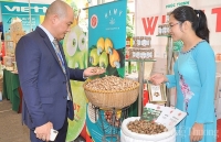 Bình Phước: Đột phá cải cách hành chính tạo sức hút đầu tư phát triển công nghiệp