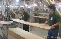 Xuất khẩu: Điểm sáng trong bức tranh kinh tế Bình Dương