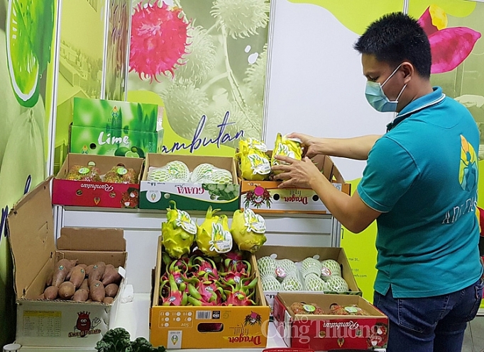 Doanh nghiệp tổ chức triển lãm thiệt hại nặng vì dịch Covid-19 doanh nghiep to chuc trien lam thiet hai nang vi dich covid 19