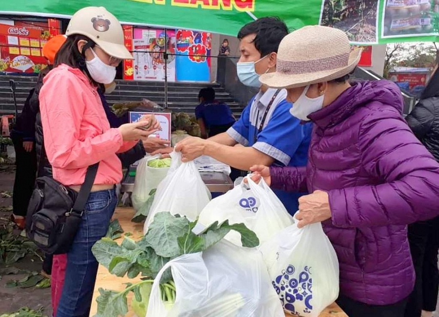 Đồng Nai kêu gọi “giải cứu” giải bưởi cho bà con nông dân