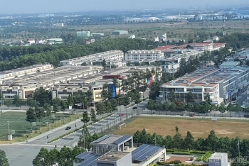 Top những lĩnh vực thu hút nhà đầu tư quốc tế trong năm 2021