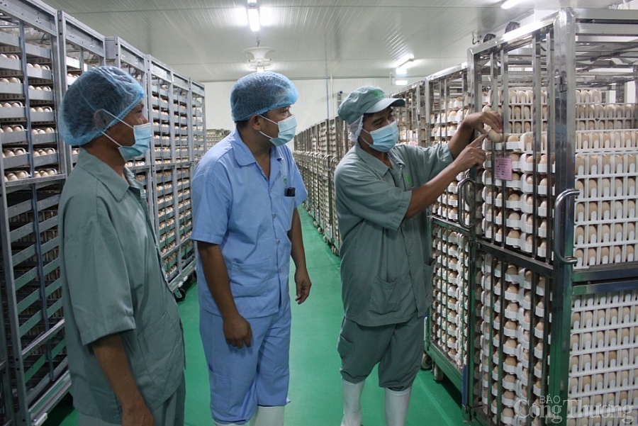 Bình Phước đẩy mạnh xúc tiến thu hút đầu tư Nhật Bản