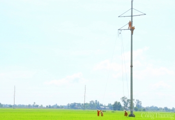PC Đồng Tháp: Đầu tư hàng trăm tỷ đồng hoàn thiện lưới điện