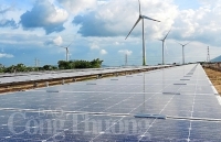 Vận hành tổ hợp năng lượng tái tạo đầu tiên và lớn nhất tại Việt Nam