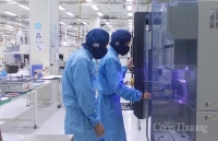 Quý I/2020: Xuất khẩu Bình Dương tăng trưởng trong khó khăn