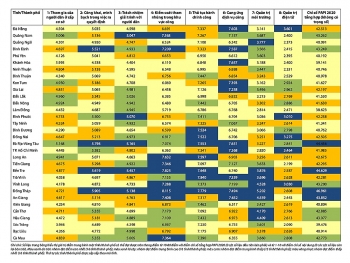 Công bố chỉ số PAPI 2020: Đồng Tháp vươn lên vị trí thứ 2 cả nước