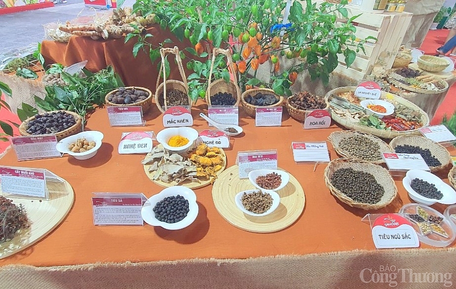 Nhiều gia vị “độc, lạ” hội tụ tại Lễ hội Tinh hoa gia vị Việt 