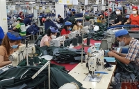 Ngành Công Thương Bình Dương: Hỗ trợ doanh nghiệp kết nối sản xuất, mở rộng thị trường xuất khẩu