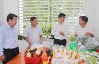 Ngành Công Thương Đồng Tháp: Kết nối tiêu thụ các sản phẩm nông sản