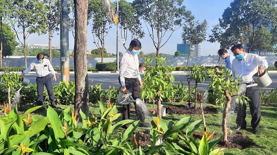 Bình Dương phát động Tết trồng cây nhớ Bác Hồ