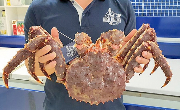 tp ho chi minh thi truong thuc pham cao cap soi dong