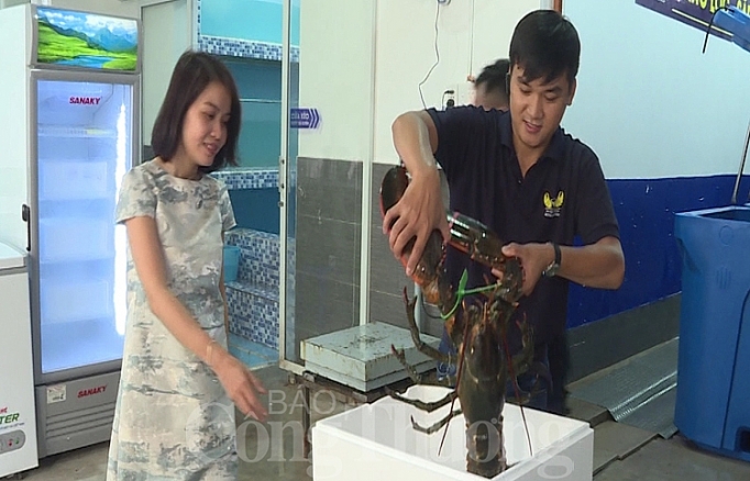 tp ho chi minh thi truong thuc pham cao cap soi dong