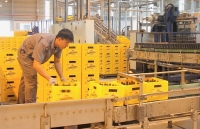 Thị trường bia trong nước cạnh tranh quyết liệt