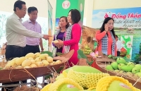 Ngành Công Thương Đồng Tháp: Đồng hành vượt khó cùng doanh nghiệp