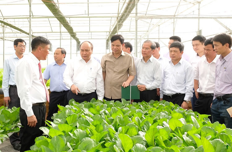 Thủ tướng Nguyễn Xuân Phúc thăm mô hình sản xuất rau an toàn tại Lâm Đồng thu tuong nguyen xuan phuc tham mo hinh san xuat rau an toan ung dung cong nghe cao lam dong