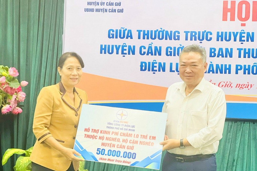 Ngành điện TP. Hồ Chí Minh đảm bảo cung ứng điện phục hồi và phát triển kinh tế - xã hội